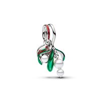 Charm Pandora in Argento 735066C01